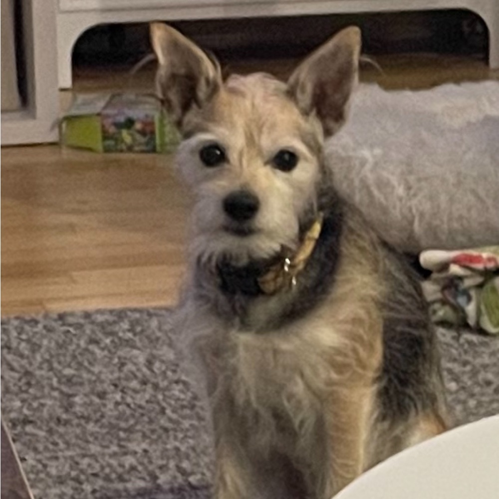 Meet your Posher, Meredith